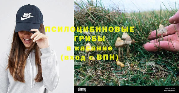 MESCALINE Баксан