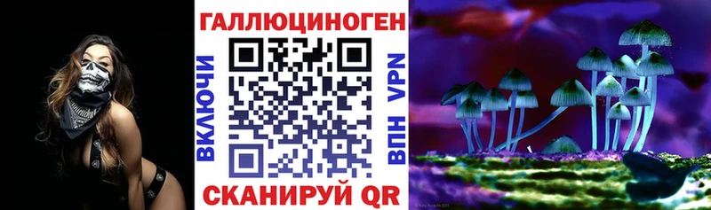 Купить где  Гатчина  Псилоцибиновые грибы GOLDEN TEACHER 